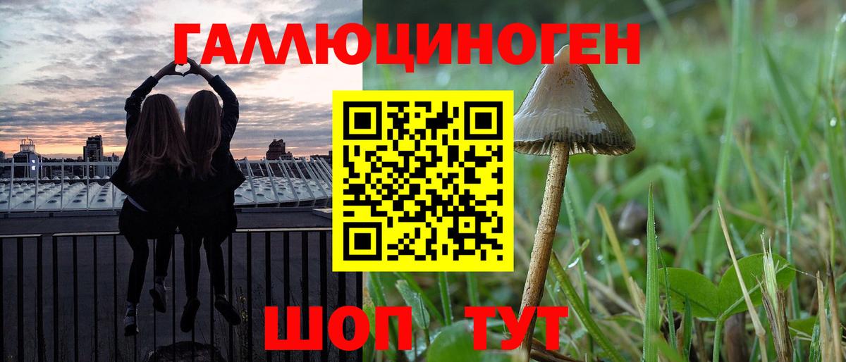 где можно купить   Галлюциногенные грибы Cubensis  Вход с VPN  Благодарный 